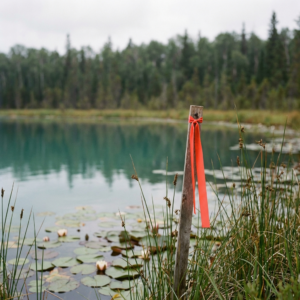 Piquet de délimitation avec ruban orange marquant un milieu humide en bordure de lac entouré de végétation