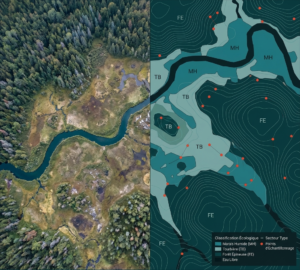 Comparaison entre photographie aérienne et carte de classification écologique d'un milieu humide québécois avec marais, tourbières et forêt épineuse